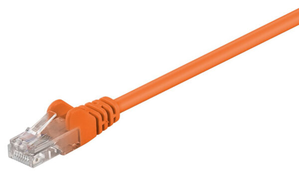 95560