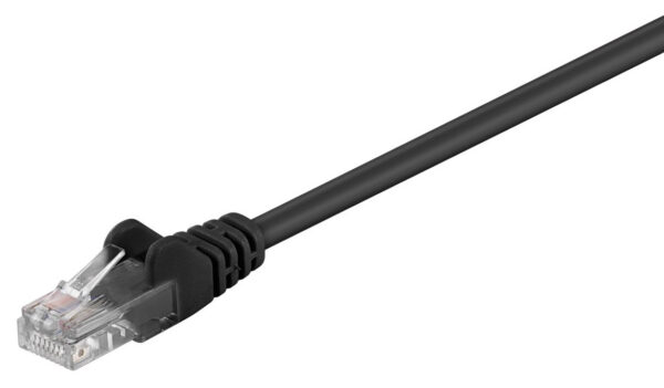 95562