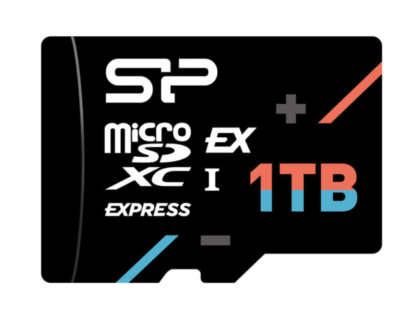 SP001TBSTEI31V10