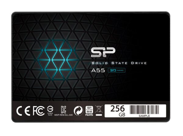 SP256GBSS3A55S25