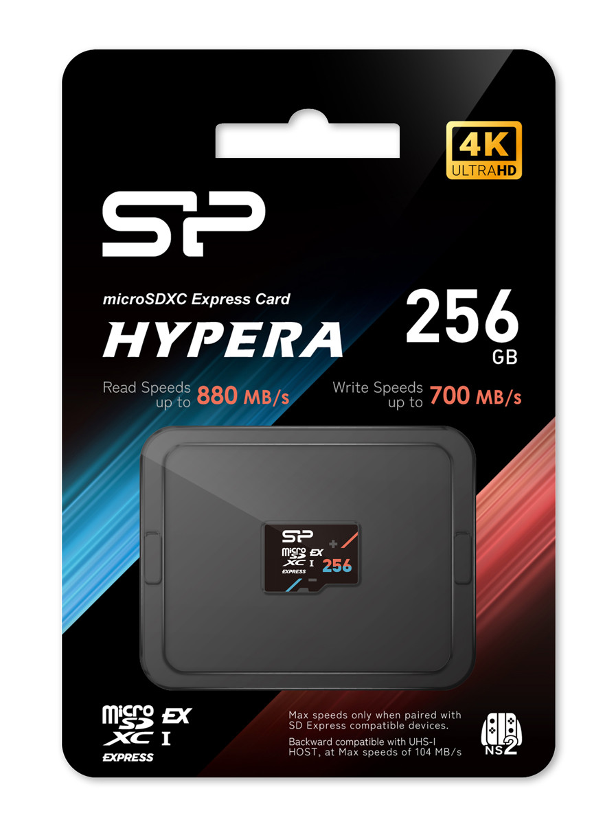 SP256GBSTEI31V10-4