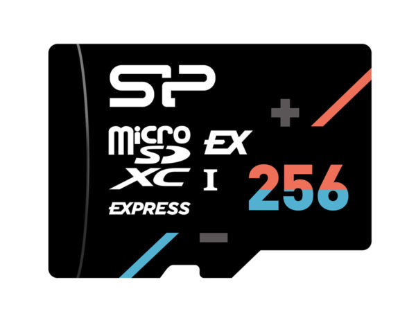SP256GBSTEI31V10